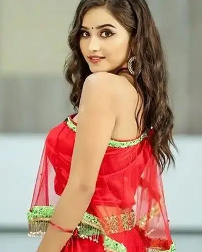 Call Girls Palwancha Cash On Delivery